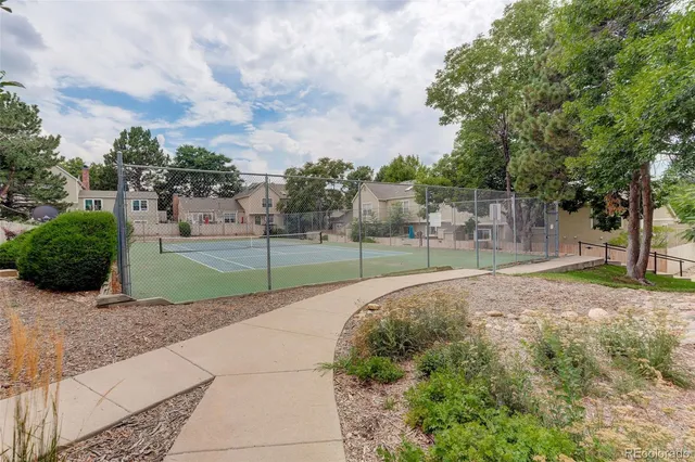 a view of a backyard