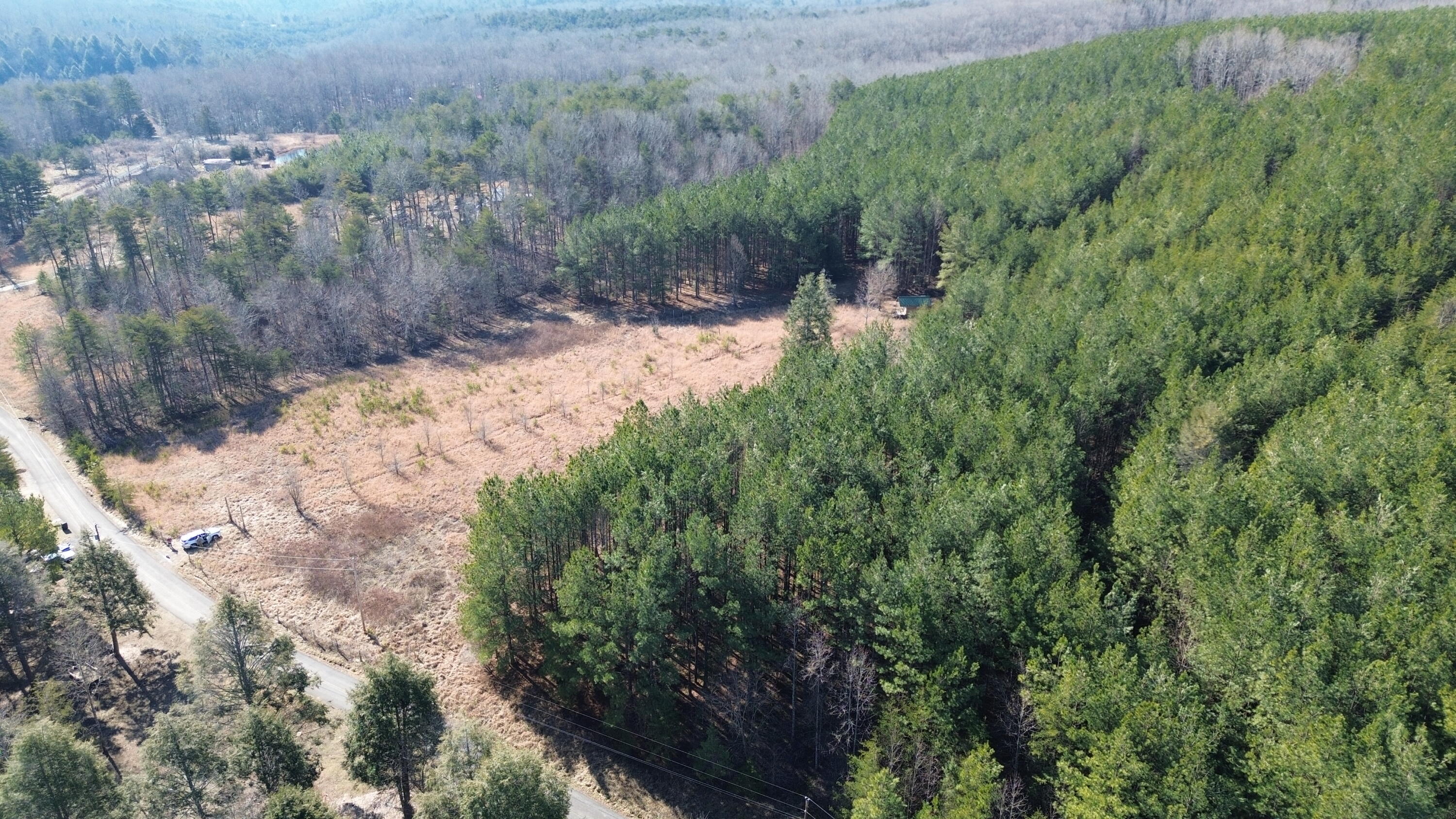 1596 Stewart Road Graysville, TN 37338 - Photo 4 of 6 dji_fly_20260209_100256_25_1772155555430