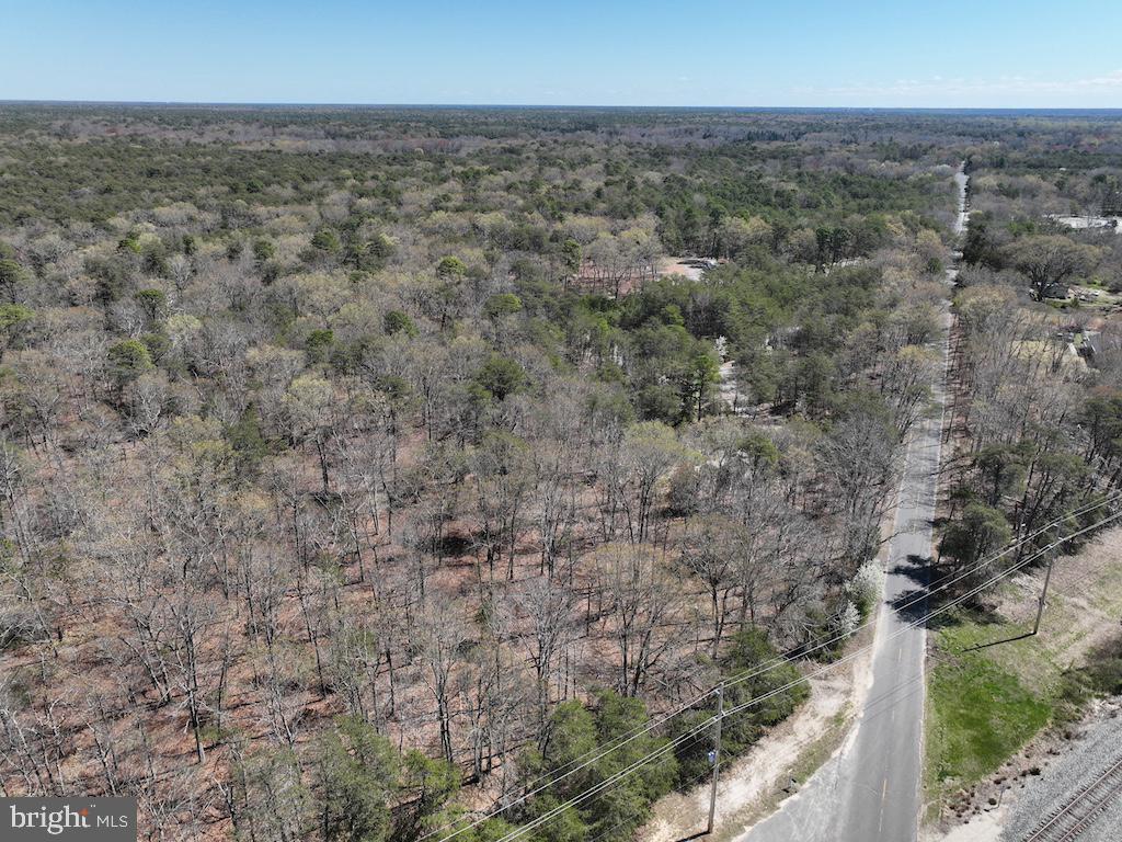 351 Shaws Mill Road Cedarville, NJ 08311 - Photo 29 of 84