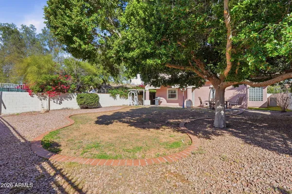 a view of a yard with palm tree