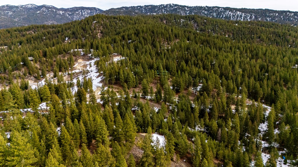 13 Sarah Way, Unit 6 Cascade, ID 83611 - Photo 2 of 14 Towering Trees Makes Lot Feel Secluded