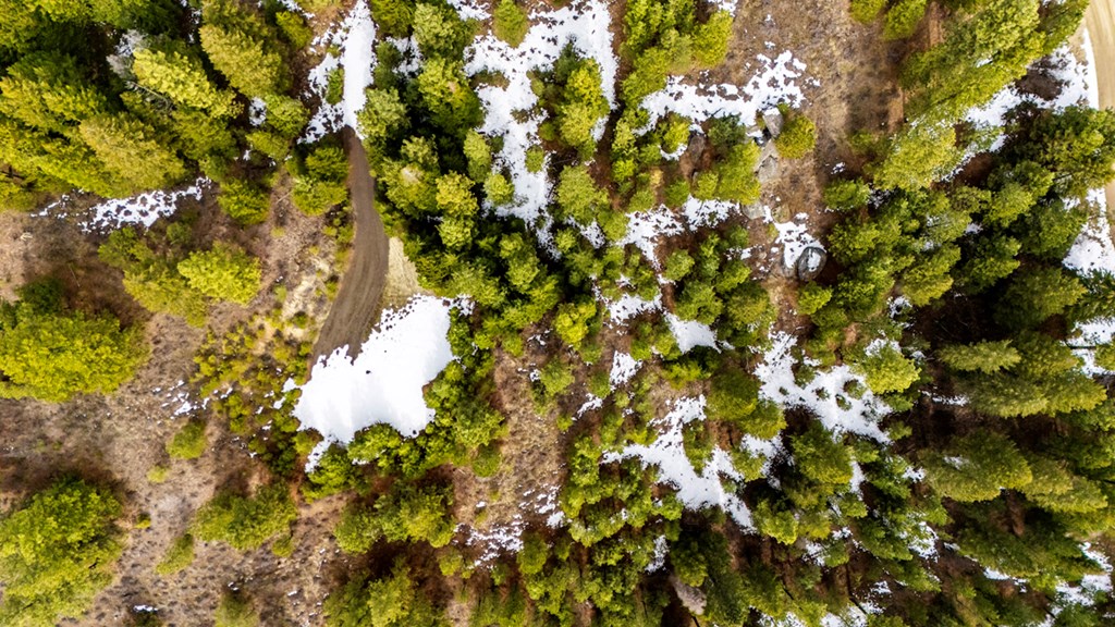 13 Sarah Way, Unit 6 Cascade, ID 83611 - Photo 3 of 14 Build Site