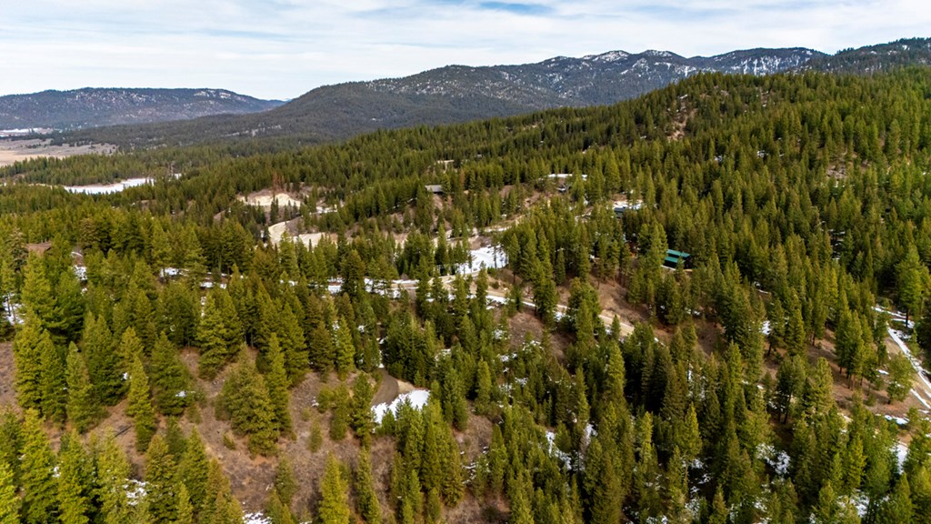13 Sarah Way, Unit 6 Cascade, ID 83611 - Photo 4 of 14 Driveway and Build Pad Ready