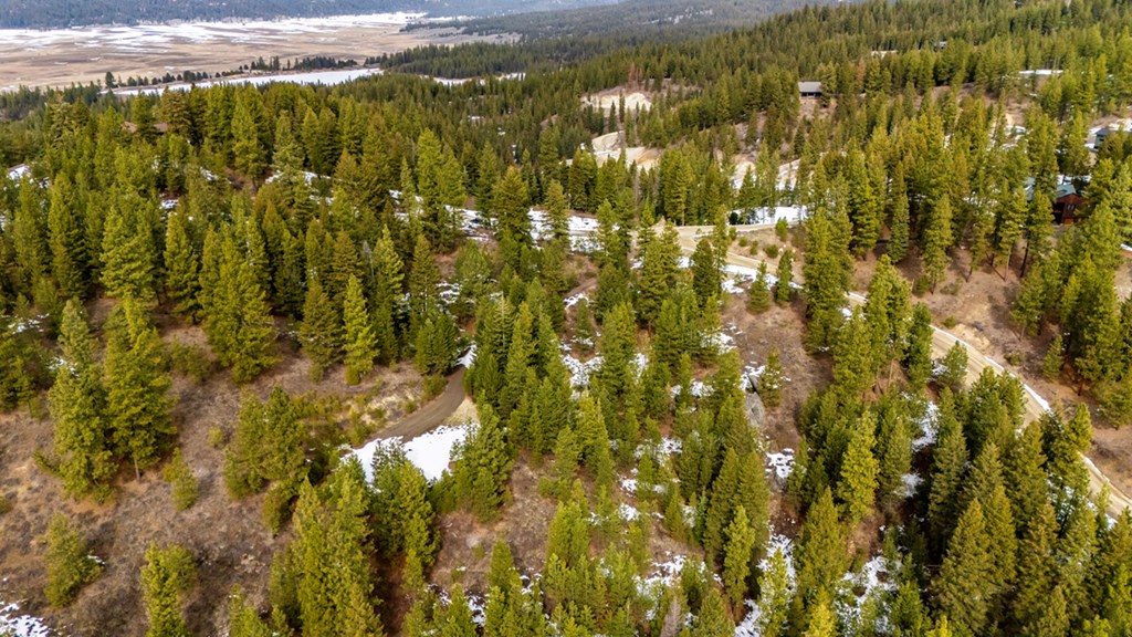 13 Sarah Way, Unit 6 Cascade, ID 83611 - Photo 10 of 14 Driveway Gives Easy Ingress Egress Access