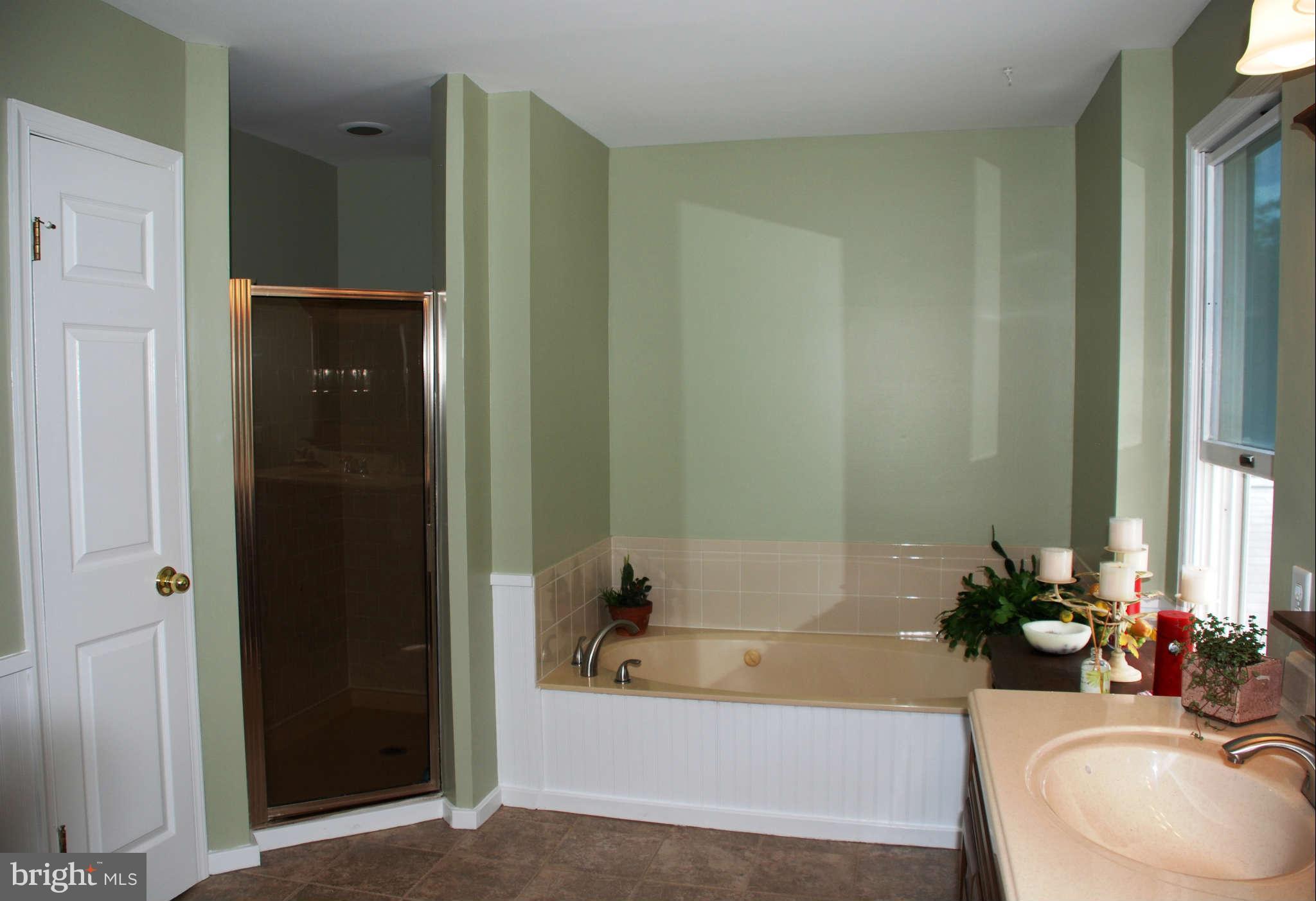 617 Fieldstone Road Silver Spring, MD 20905 - Photo 22 of 30 Bath (Master)