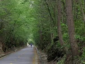 a view of outdoor space garden and entertaining space