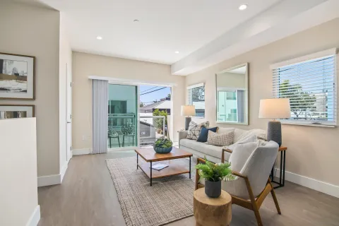 a living room with furniture and a potted plant