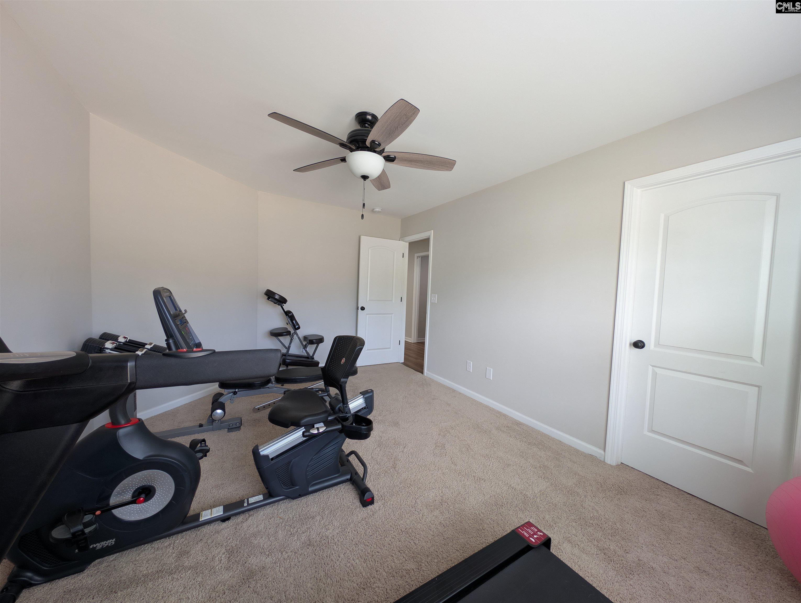 105 Tall Pines Road Chapin, SC 29036 - Photo 37 of 79