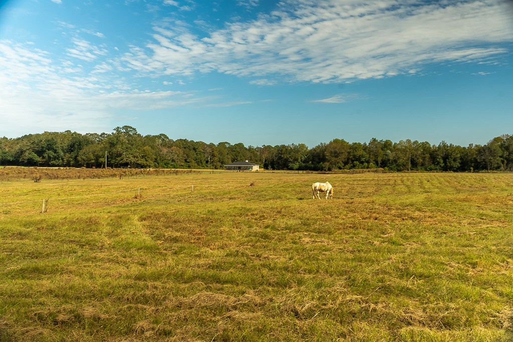 0 J B J B Jackson Road Webb, AL 36376 - Photo 12 of 38