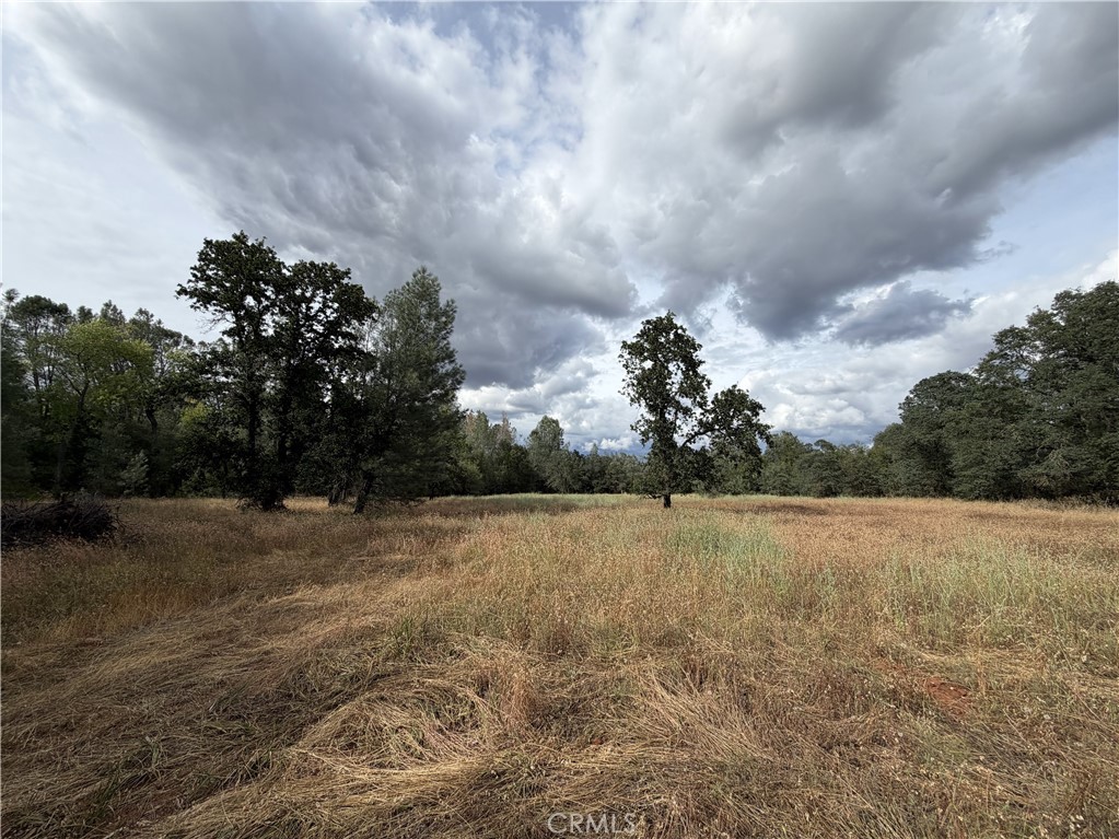0 Ophir Road Oroville, CA 95966 - Photo 4 of 29 a view of beach and covered with green space