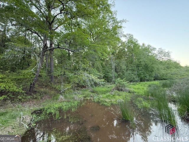 0 Moore Road Elberton, GA 30635 - Photo 44 of 67
