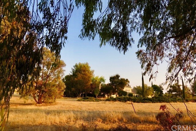 520 Lupine Lane Templeton, CA 93465 - Photo 6 of 25