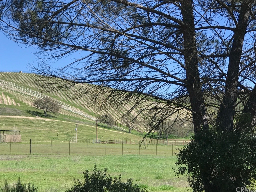520 Lupine Lane Templeton, CA 93465 - Photo 9 of 25 Views from the front of the house