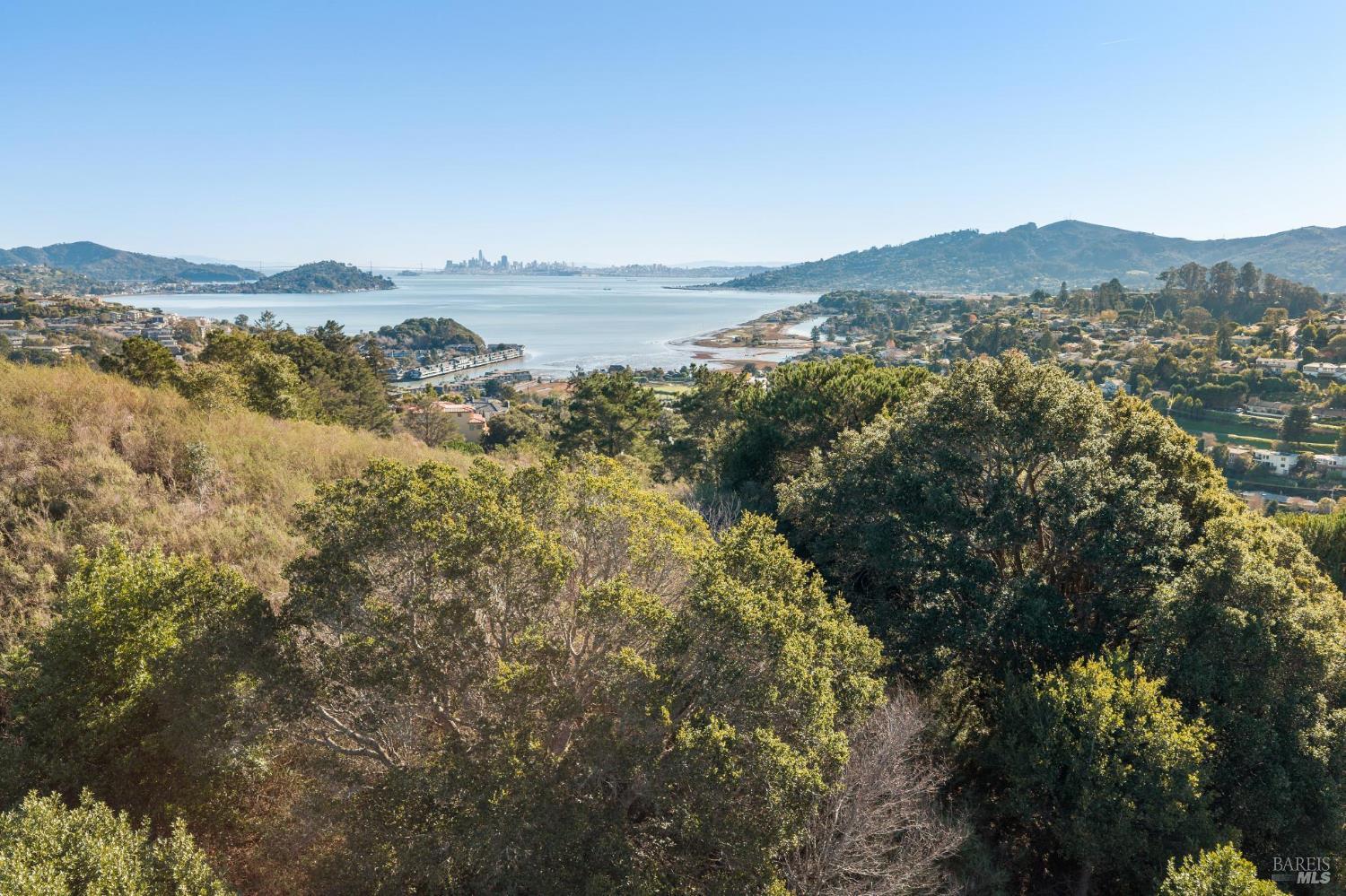 0 Eagle Rock Road Mill Valley, CA 94941 - Photo 11 of 12