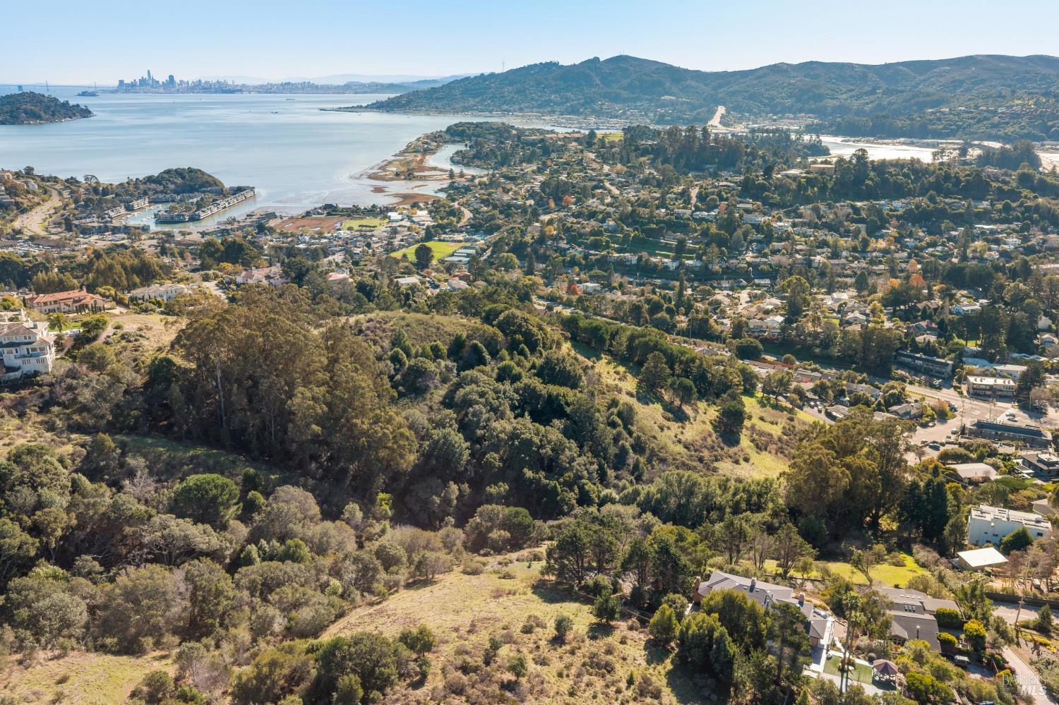 0 Eagle Rock Road Mill Valley, CA 94941 - Photo 11 of 12 a view of lake and mountain
