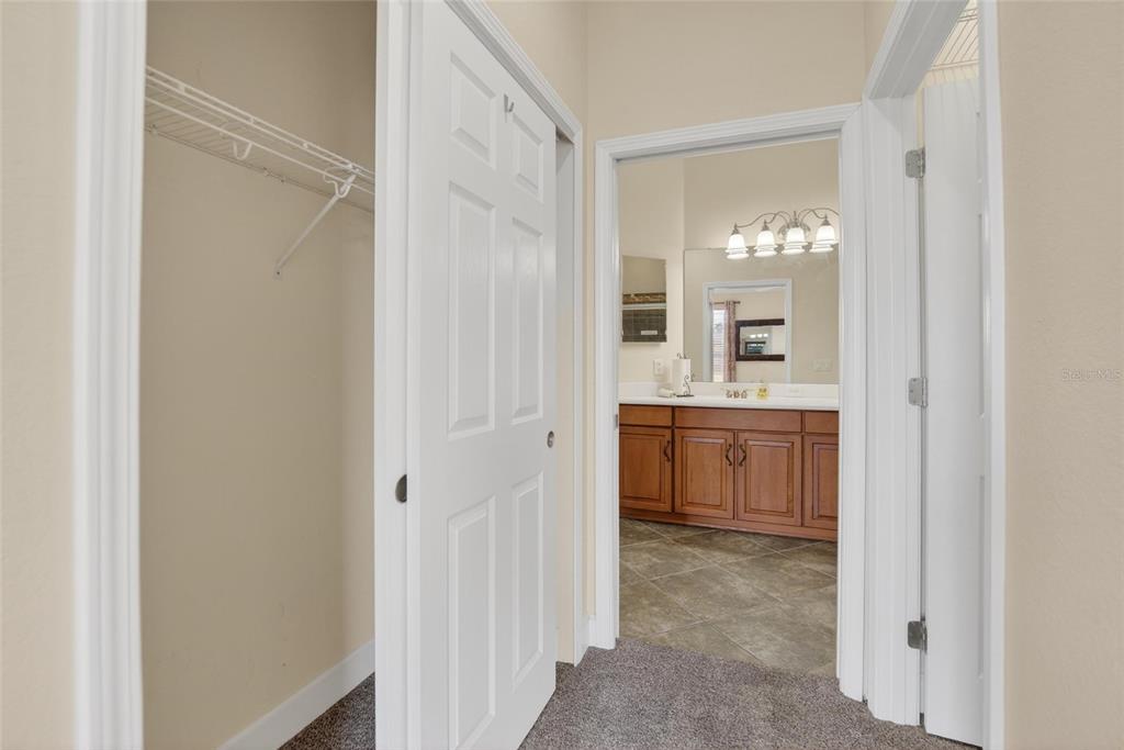 210 Shell Falls Drive Apollo Beach, FL 33572 - Photo 29 of 81