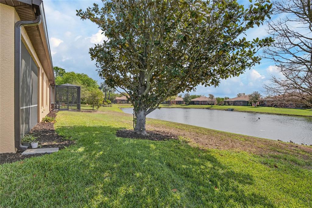 210 Shell Falls Drive Apollo Beach, FL 33572 - Photo 51 of 81