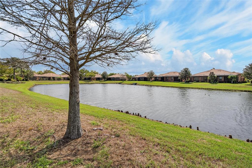 210 Shell Falls Drive Apollo Beach, FL 33572 - Photo 54 of 81