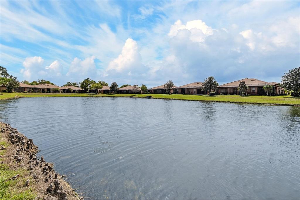 210 Shell Falls Drive Apollo Beach, FL 33572 - Photo 56 of 81