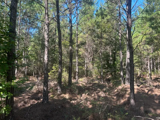 $225,000 | 15 Red Oak Road, Cottageville, SC 29435