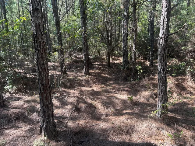 $225,000 | 15 Red Oak Road, Cottageville, SC 29435