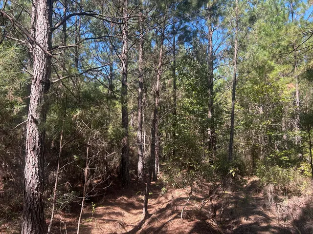 $225,000 | 15 Red Oak Road, Cottageville, SC 29435