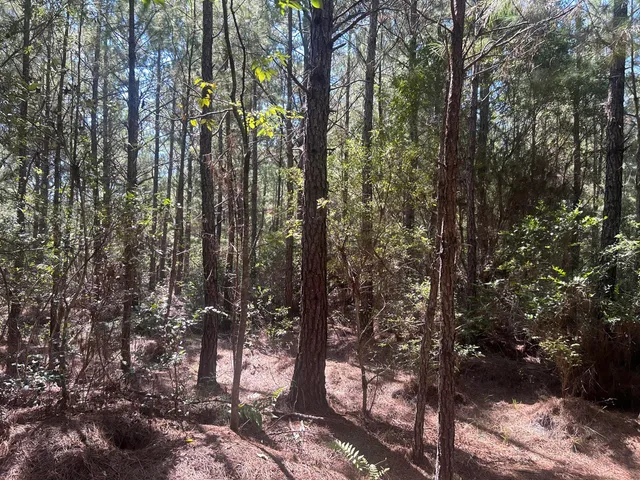 $225,000 | 15 Red Oak Road, Cottageville, SC 29435