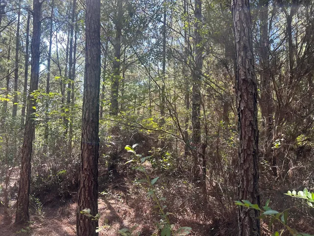 $225,000 | 15 Red Oak Road, Cottageville, SC 29435