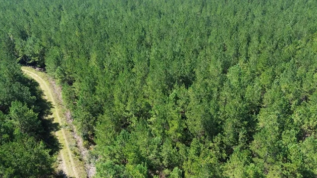 $225,000 | 15 Red Oak Road, Cottageville, SC 29435