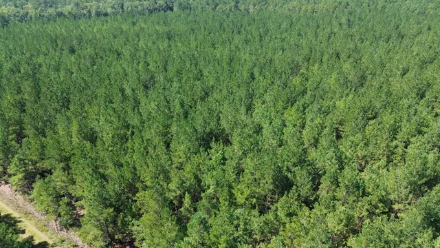 $225,000 | 15 Red Oak Road, Cottageville, SC 29435