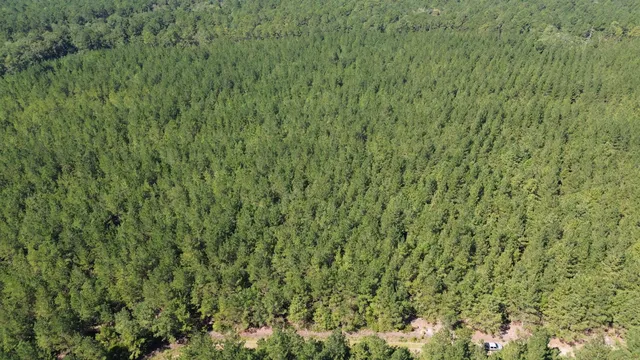 $225,000 | 15 Red Oak Road, Cottageville, SC 29435