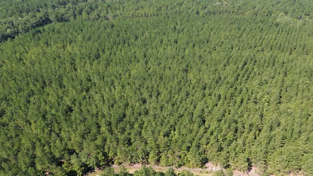 $225,000 | 15 Red Oak Road, Cottageville, SC 29435