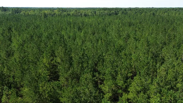 $225,000 | 15 Red Oak Road, Cottageville, SC 29435