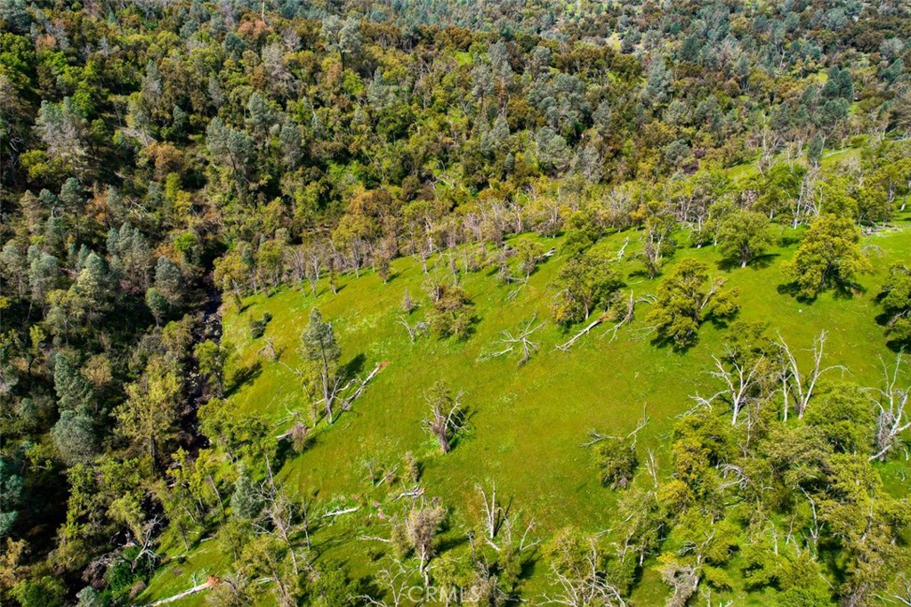 3729 Ben Hur Road Mariposa, CA 95338 - Photo 12 of 56