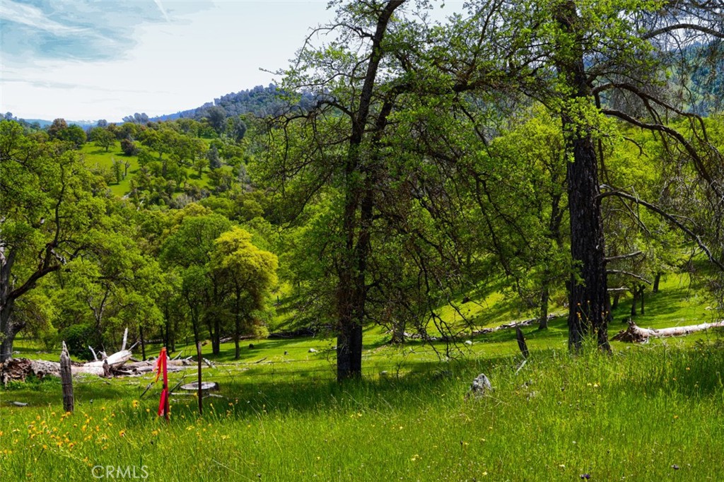 3729 Ben Hur Road Mariposa, CA 95338 - Photo 18 of 56