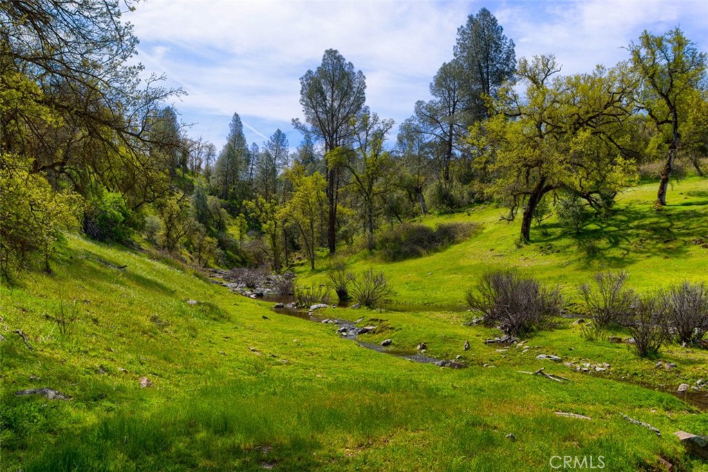 3729 Ben Hur Road Mariposa, CA 95338 - Photo 2 of 56