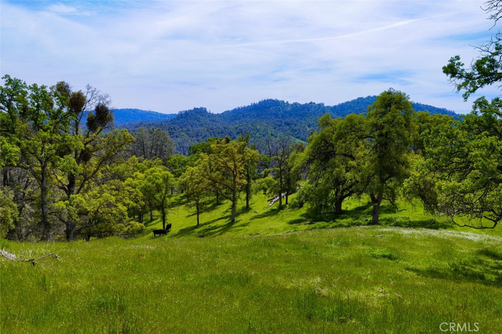 3729 Ben Hur Road Mariposa, CA 95338 - Photo 21 of 56