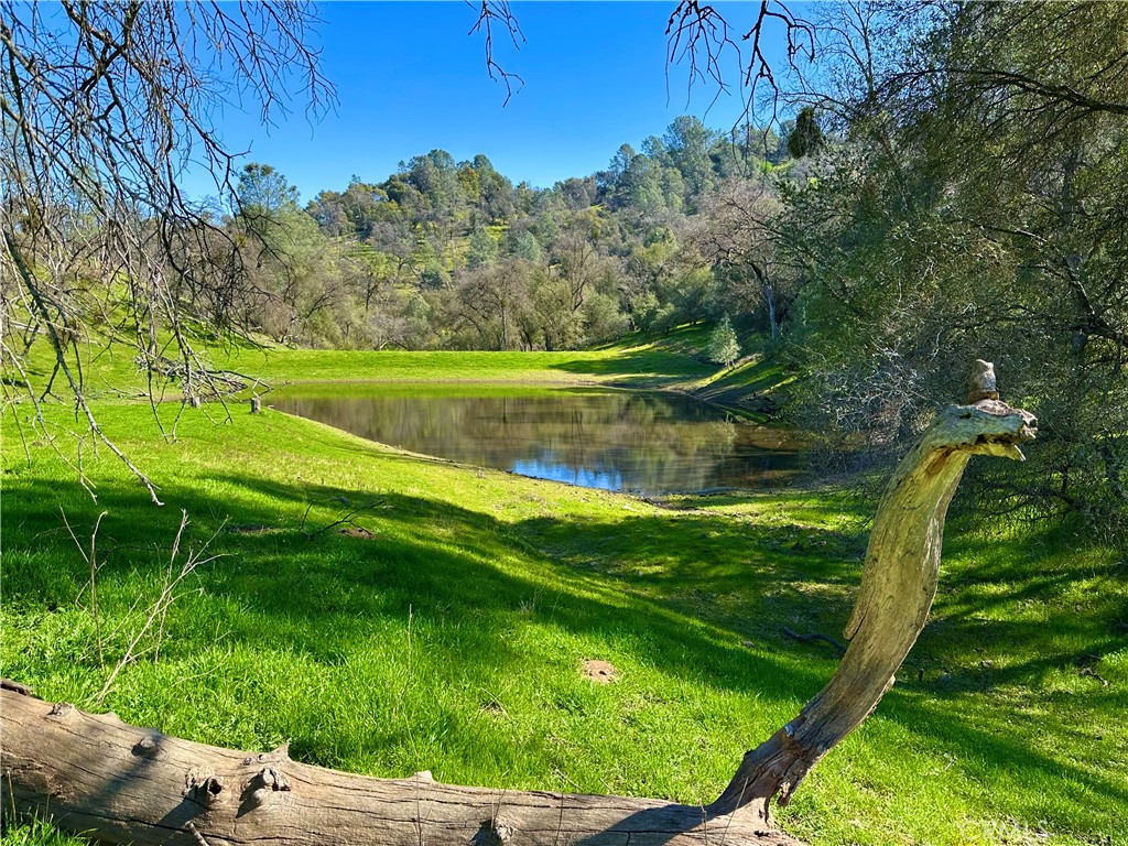 3729 Ben Hur Road Mariposa, CA 95338 - Photo 23 of 56