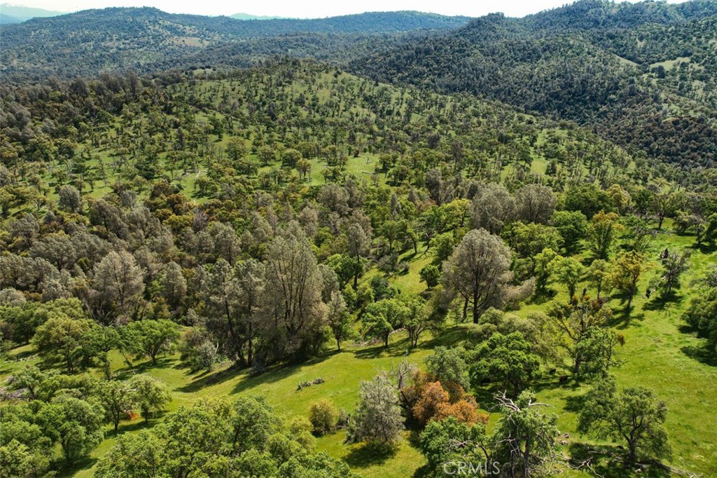 3729 Ben Hur Road Mariposa, CA 95338 - Photo 24 of 56