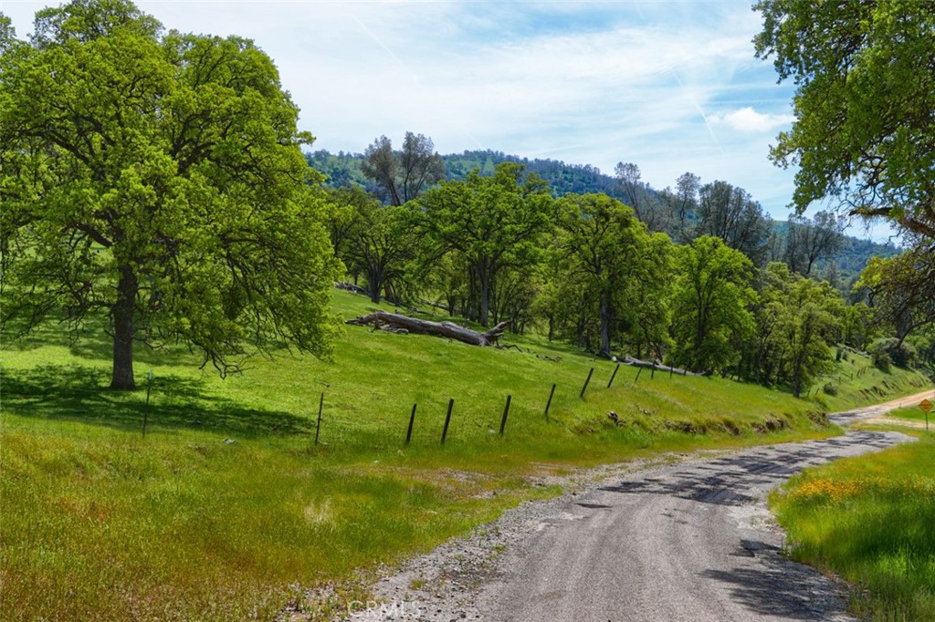 3729 Ben Hur Road Mariposa, CA 95338 - Photo 4 of 56