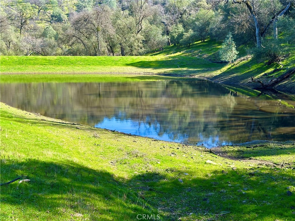 3729 Ben Hur Road Mariposa, CA 95338 - Photo 48 of 56