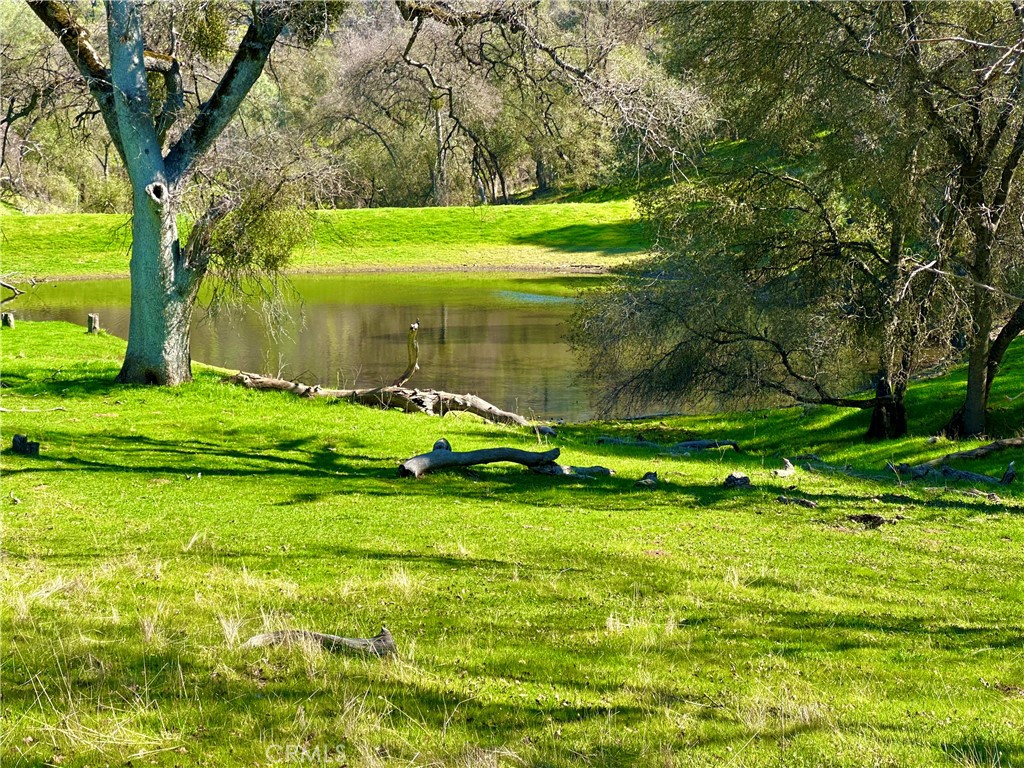 3729 Ben Hur Road Mariposa, CA 95338 - Photo 49 of 56