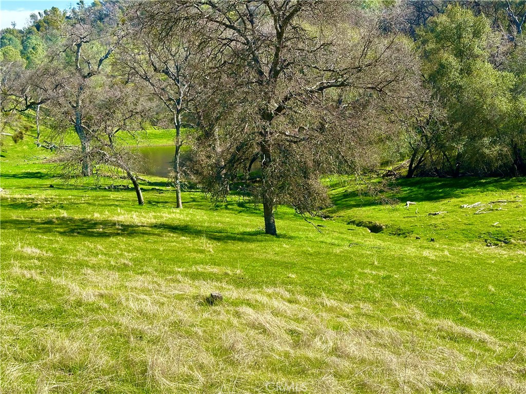 3729 Ben Hur Road Mariposa, CA 95338 - Photo 50 of 56