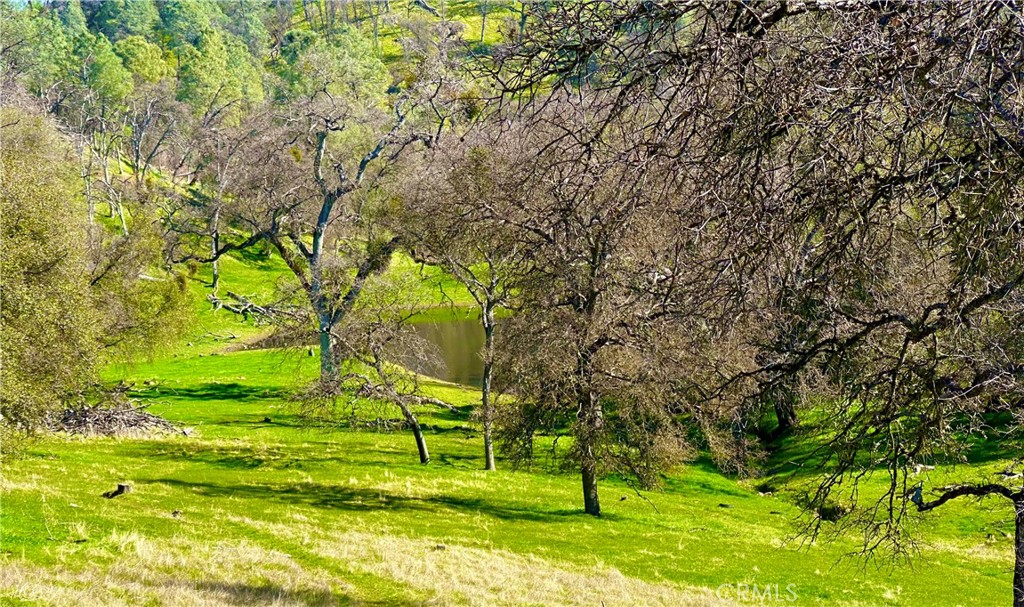 3729 Ben Hur Road Mariposa, CA 95338 - Photo 51 of 56