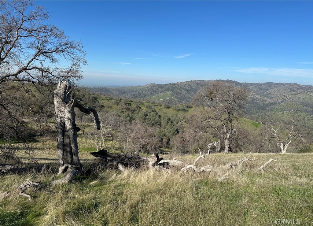 3729 Ben Hur Road Mariposa, CA 95338 - Photo 53 of 56