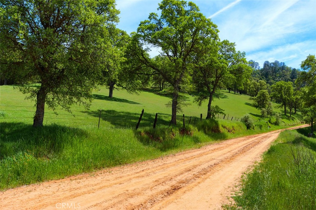 3729 Ben Hur Road Mariposa, CA 95338 - Photo 6 of 56