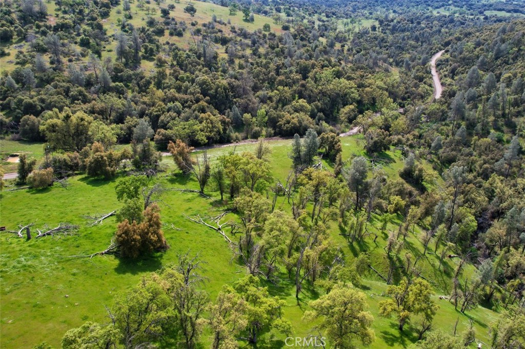 3729 Ben Hur Road Mariposa, CA 95338 - Photo 10 of 56