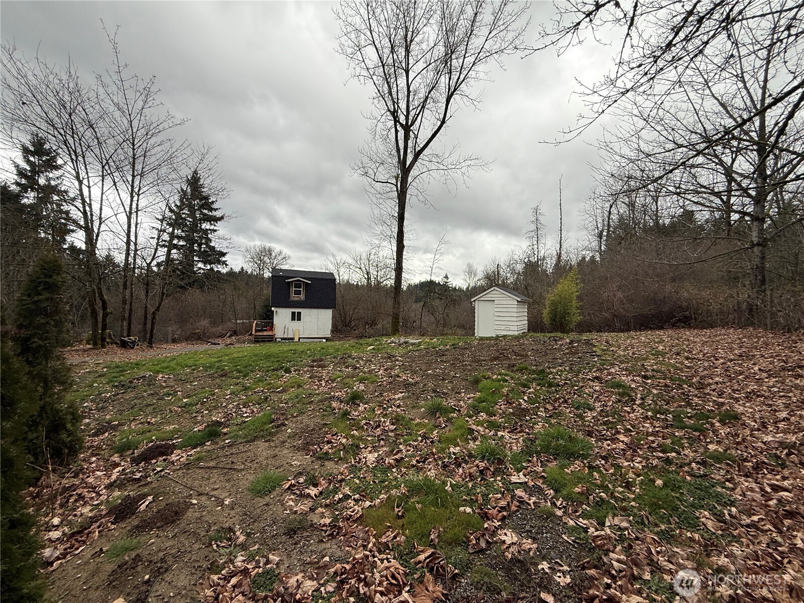 26005 156th Street Southeast Covington, WA 98042 - Photo 24 of 24 a backyard of a house with lots of green space