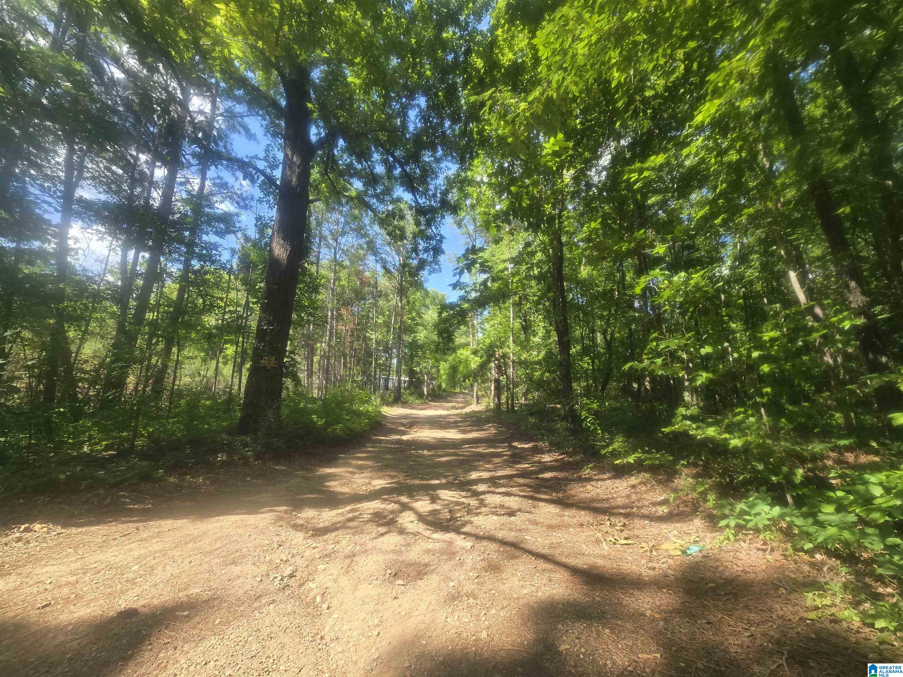 135 Big Chef Road Ohatchee, AL 36271 - Photo 14 of 27