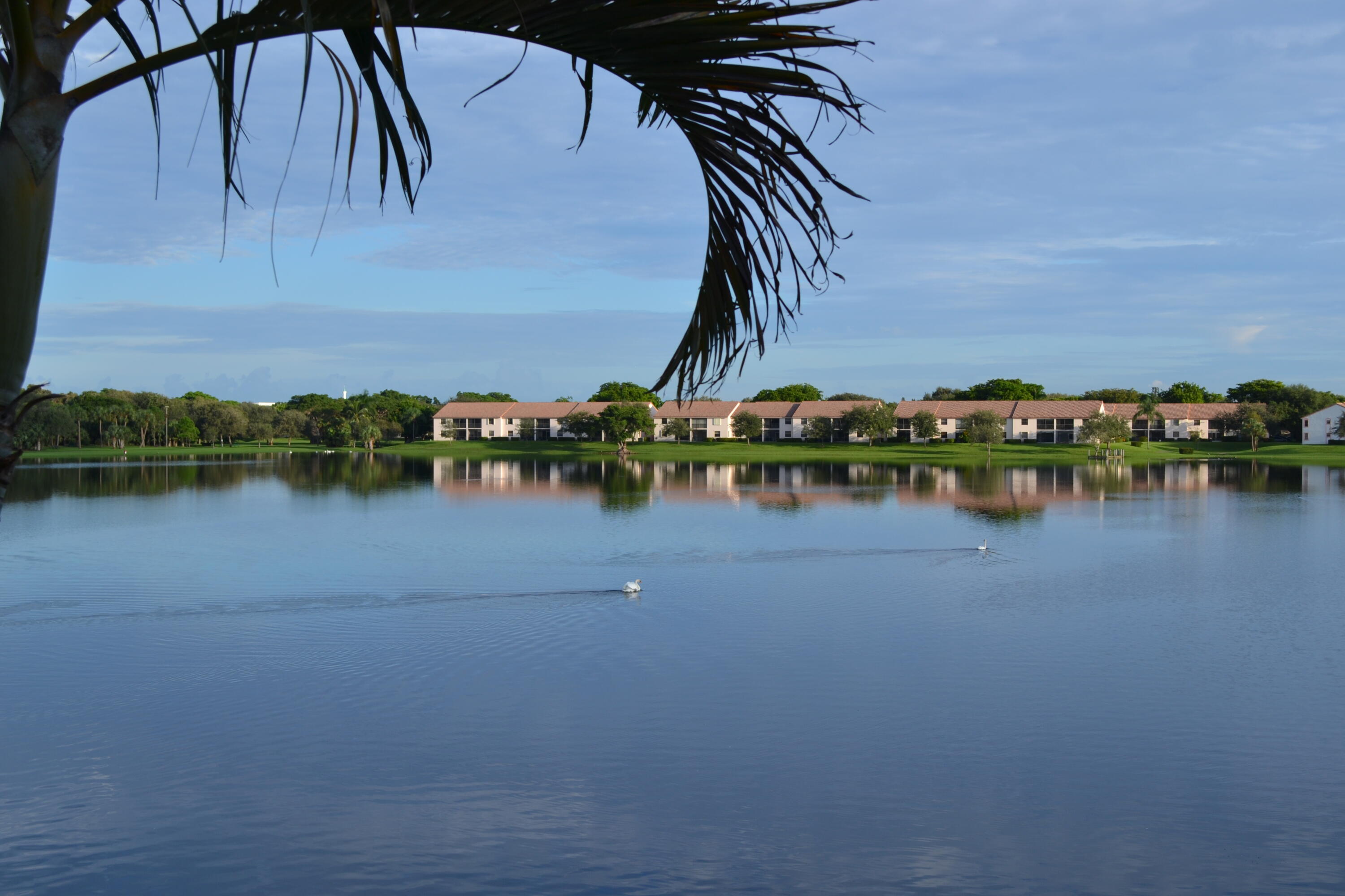 490 Hardwood Place Boca Raton, FL 33431 - Photo 21 of 45 4 20-Acre Spring Fed Lake